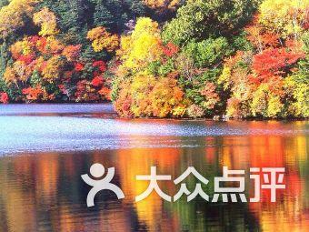 家庭意外