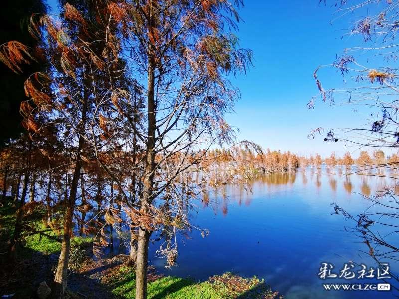 永恒之柱2