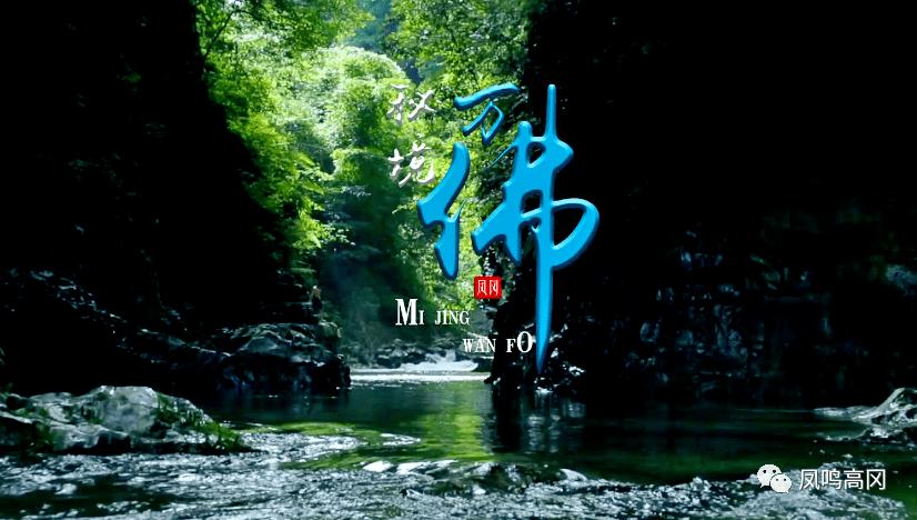 动物帮帮忙保卫家园