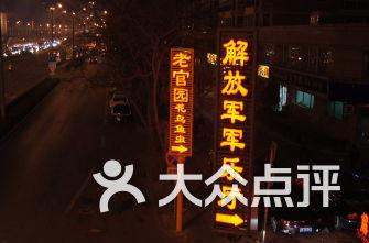 苏菲亚安伯时装秀