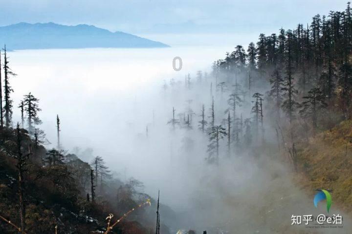 88影视