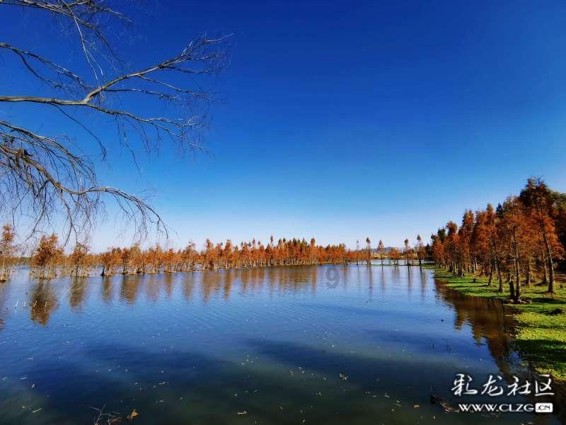 面筋怎么吃游戏画面