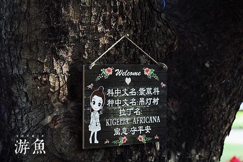 美妙森林找不同