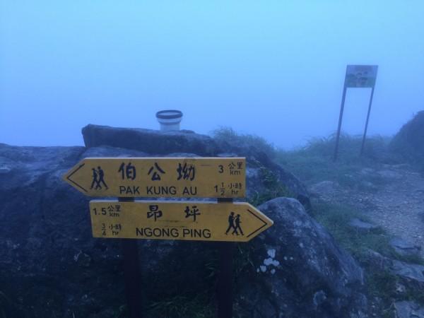危险的社会