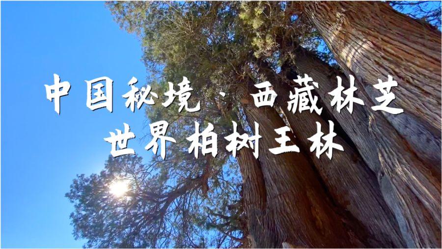 明星三缺一