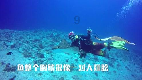 逃离遗弃的建筑3