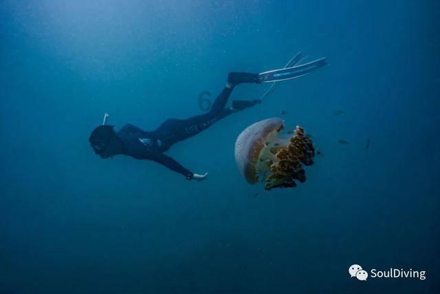 港股药明系再度低开 药明生物跌近7%