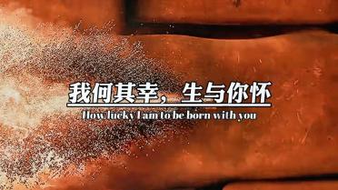 经典界面2048