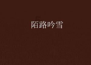 不是大G、卫士买不起，46.8万预售的坦克700 Hi4-T更具性价比