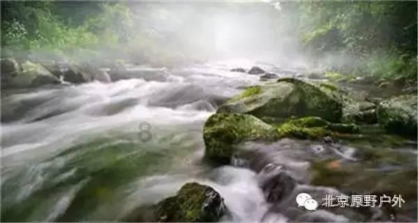 狂丧之尸9