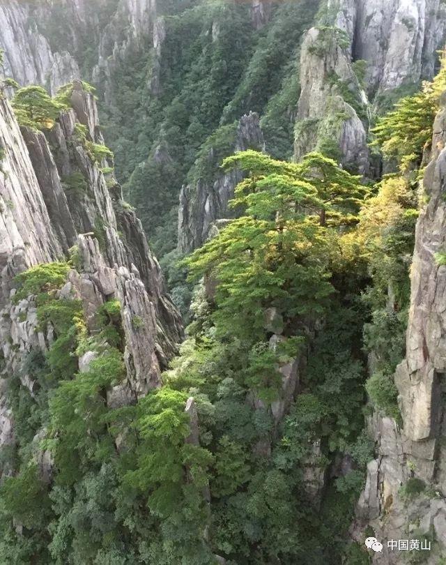 《幻兽帕鲁》传送锚点使用方法介绍