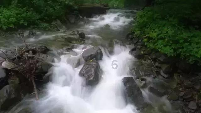 公主换装养成日记