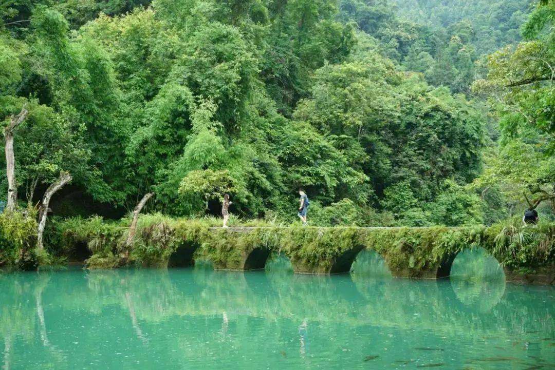 虫虫助手下载