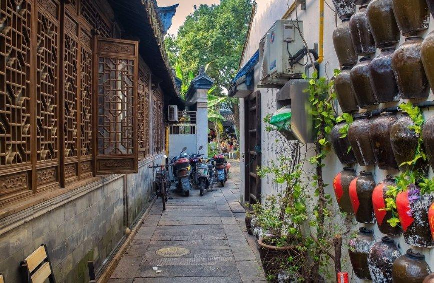 大花园植物逃生