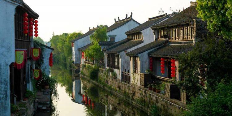 五十度灰/飞 观后感