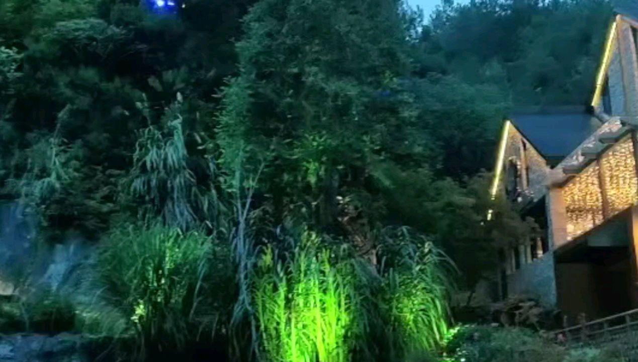 僵尸粉碎机